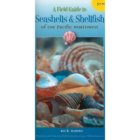 A Field Guide to Seashells and Shellfish of the PNW | Diving Sports Canada | Vancouver A Field Guide to Seashells and Shellfish of the PNW | Diving Sports Canada | Vancouver