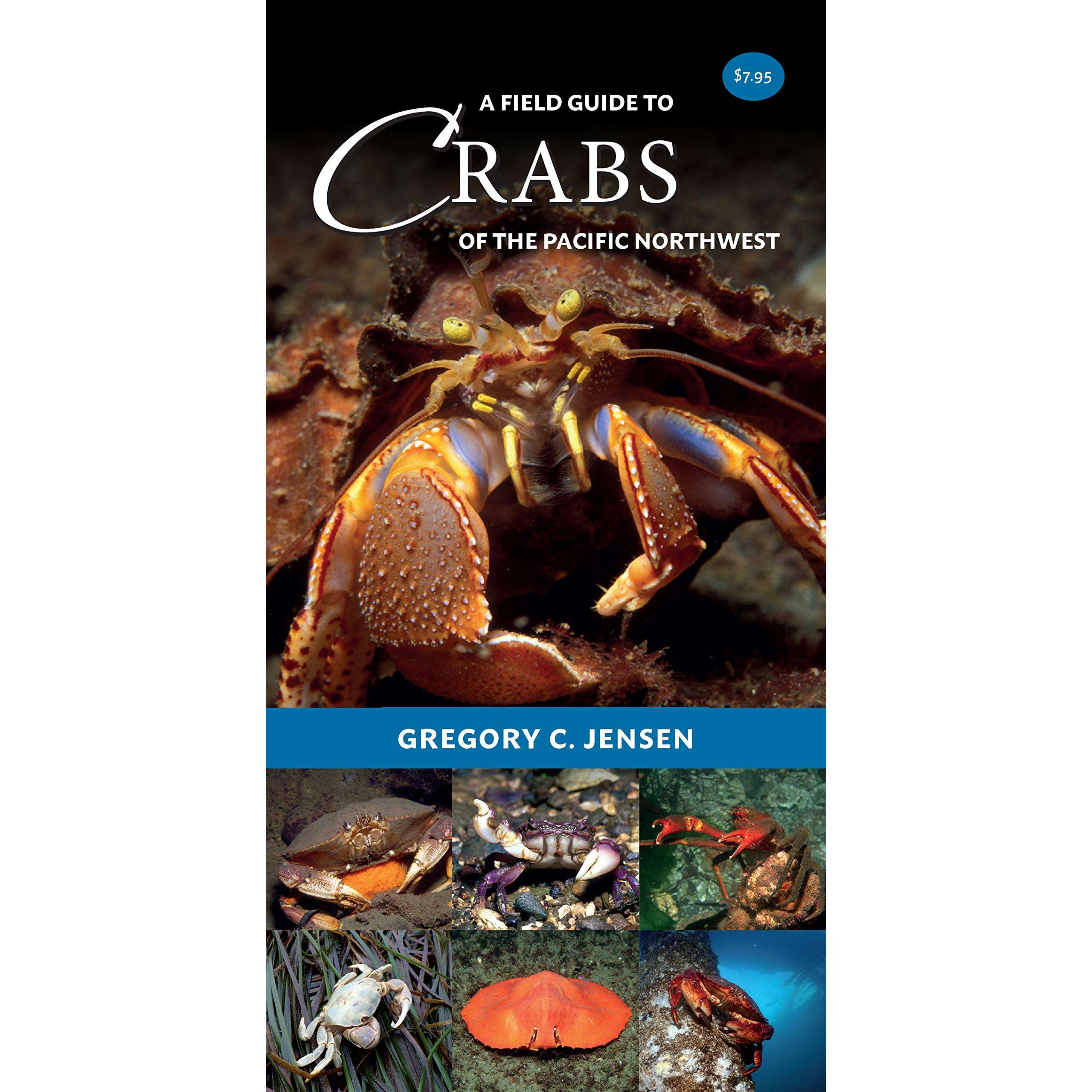 A Field Guide to Crabs of the PNW | Diving Sports Canada | Vancouver A Field Guide to Crabs of the PNW | Diving Sports Canada | Vancouver