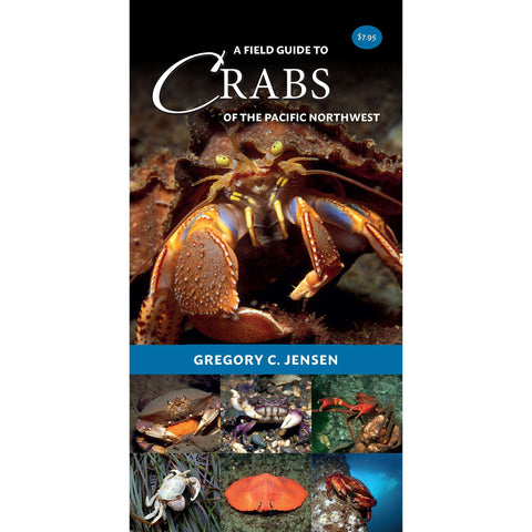 A Field Guide to Crabs of the PNW | Diving Sports Canada | Vancouver A Field Guide to Crabs of the PNW | Diving Sports Canada | Vancouver