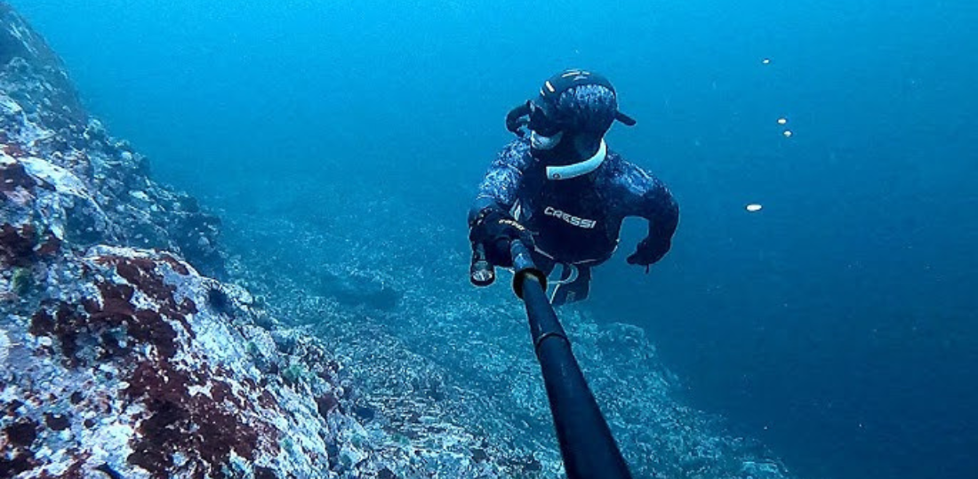 Cold-Water Freediving in British Columbia: How to Adapt Your Body, Mind, and Technique