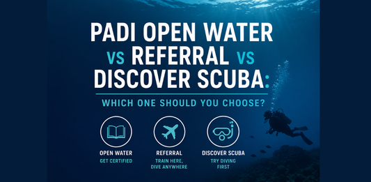 PADI Open Water vs Referral vs Discover Scuba: Which One to Choose?