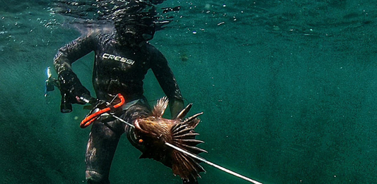 Spearfishing in British Columbia