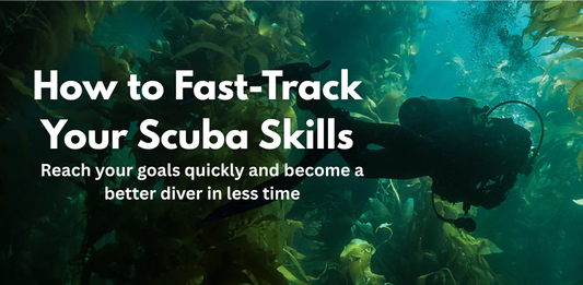 How to Fast-Track Your Scuba Skills This Season