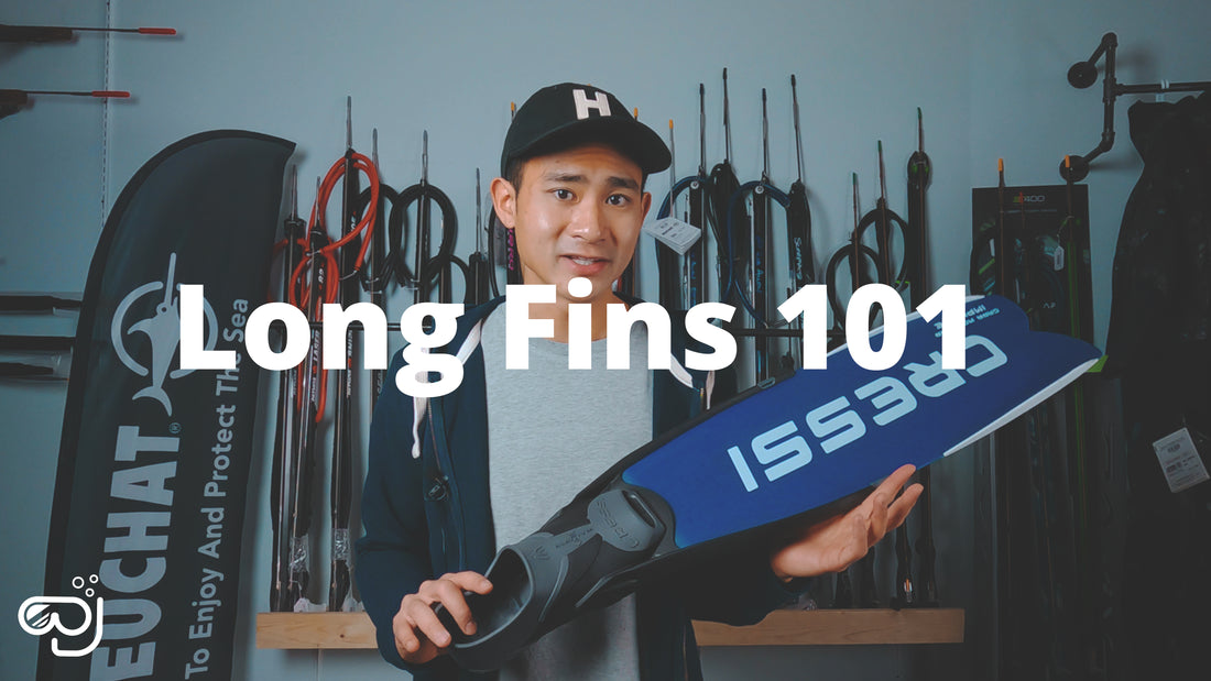 Spearfishing & Freediving Fins 101 | Diving Sports Canada