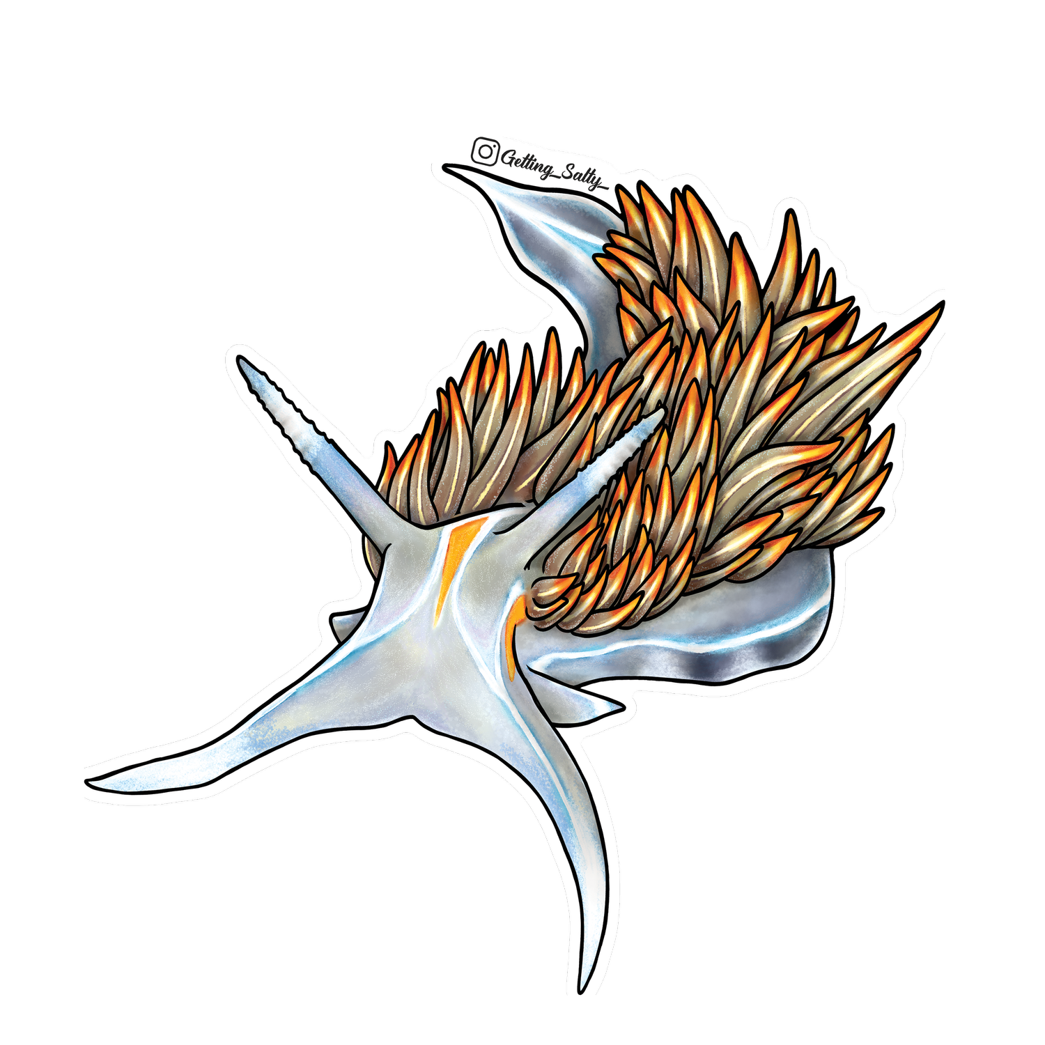 Getting Salty Opalescent Nudibranch - Mini | Diving Sports Canada | Vancouver