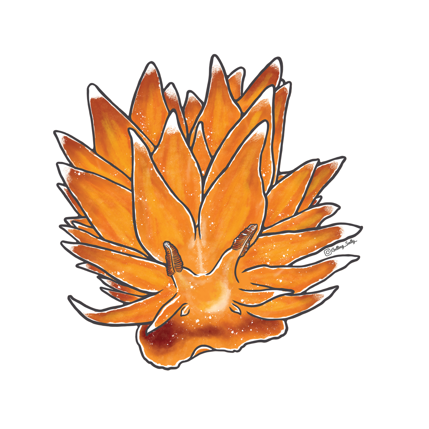 Getting Salty Orange Dirona Nudibranch - Mini | Diving Sports Canada